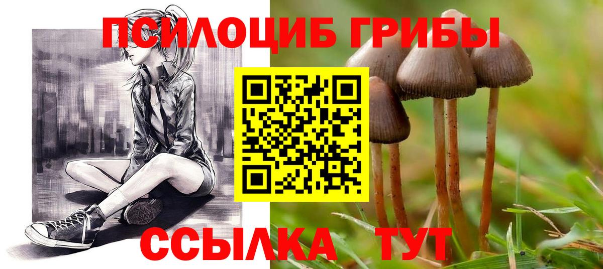 Кизляр  Псилоцибиновые грибы Magic Shrooms  Вход с VPN 