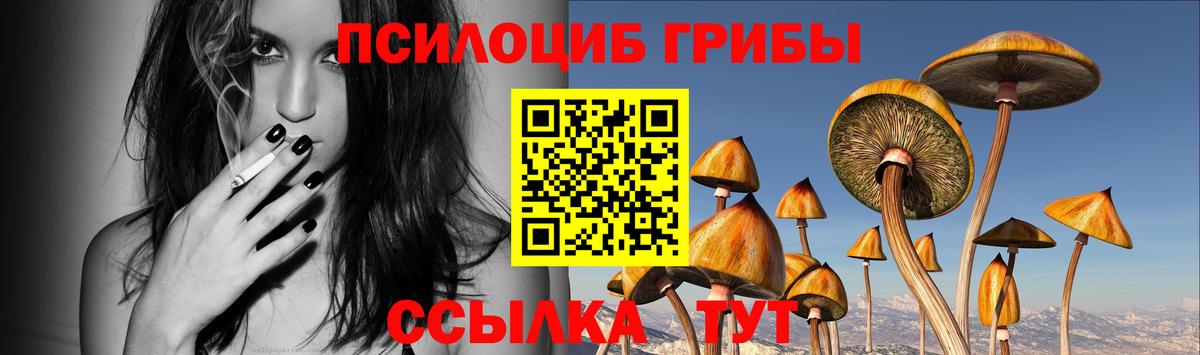 Псилоцибиновые грибы Magic Shrooms Кизляр